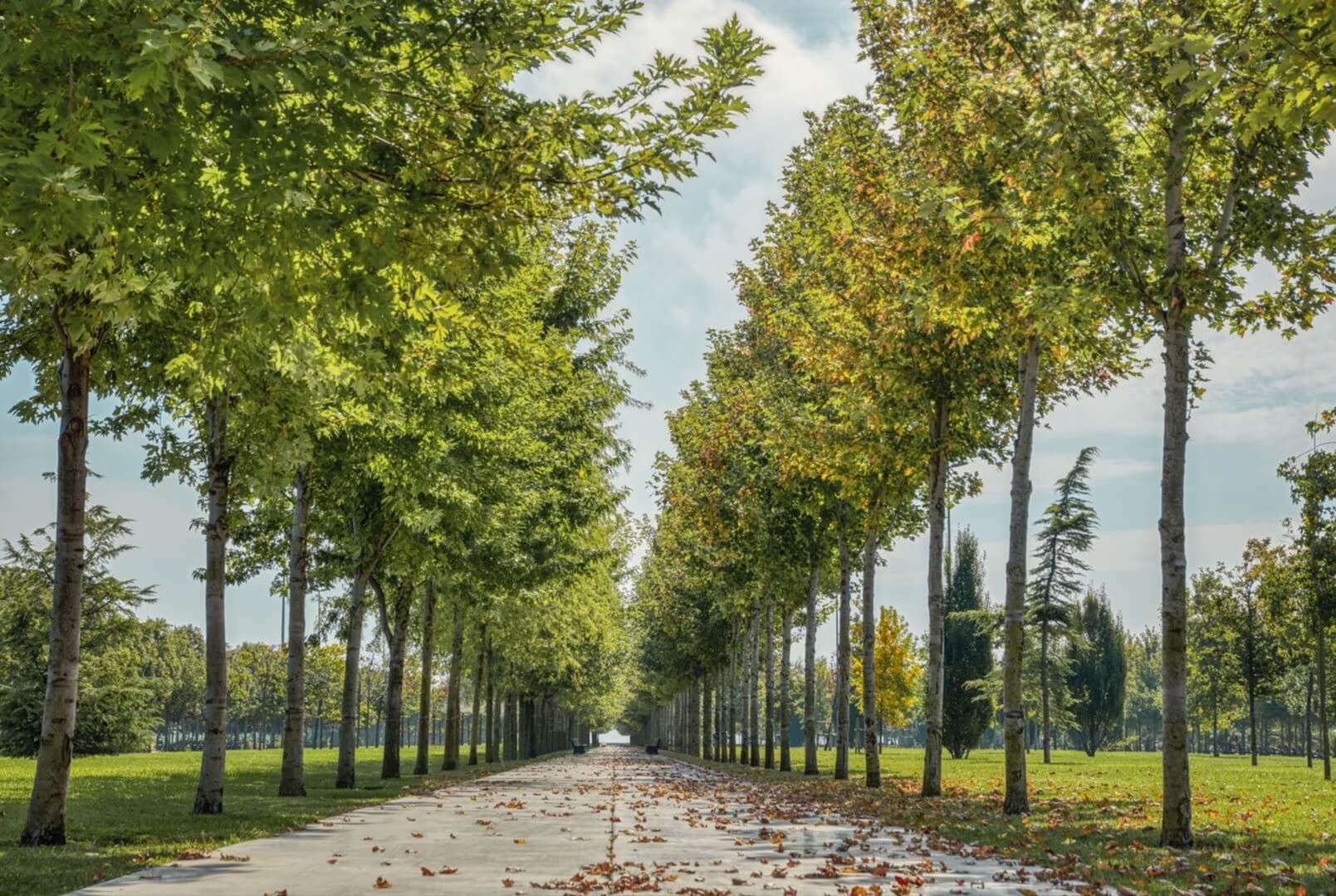 National Gardens & Parks