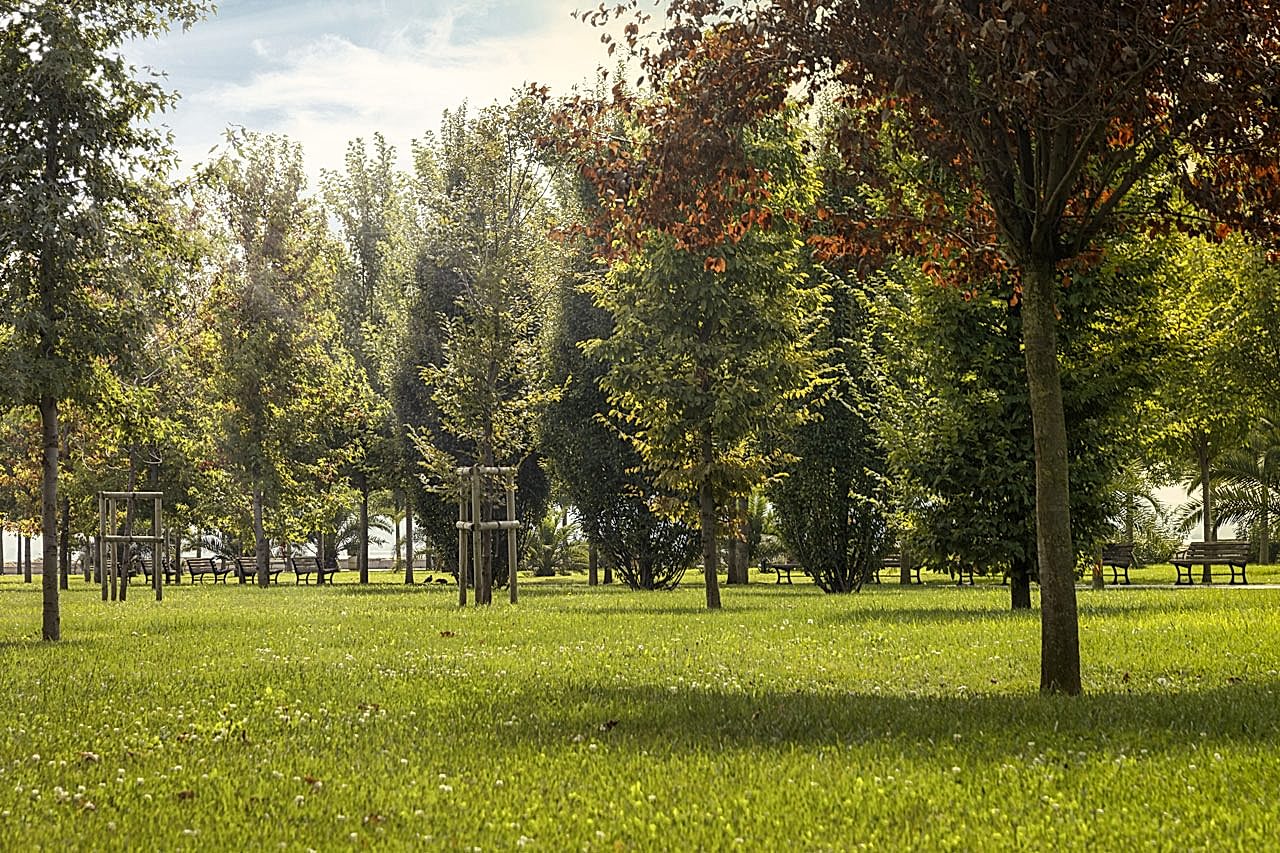 CONSTRUCTION OF NEW GREEN AREAS IN BAKI